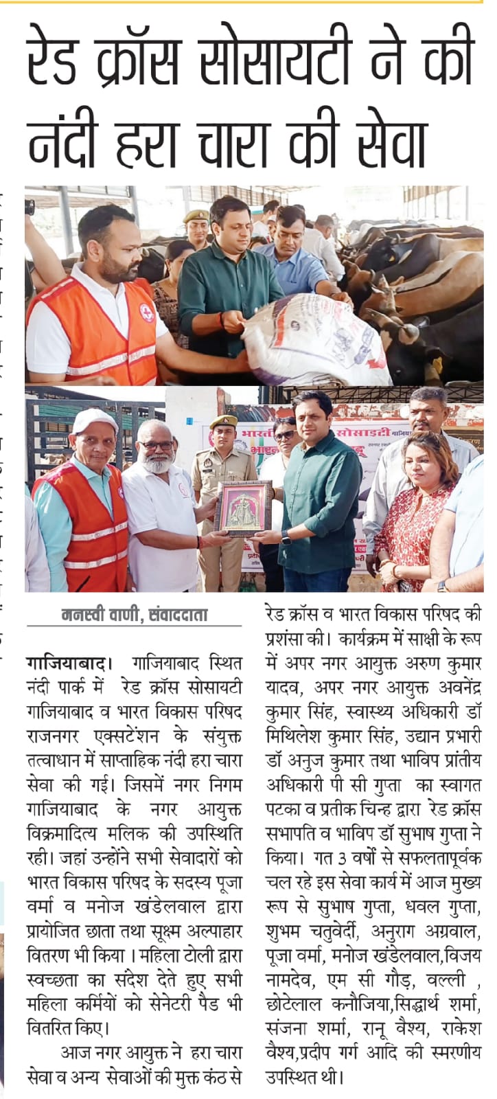 Weekly Nandi green fodder service provided